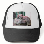 Meerkats hats