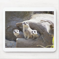Meerkats Mouse Pad