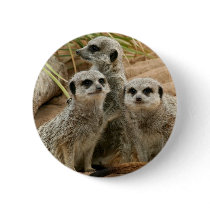 Meerkats on the lookout buttons