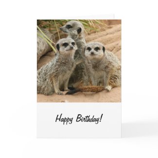 Meerkats on the lookout card