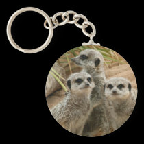 Meerkats on the lookout keychains