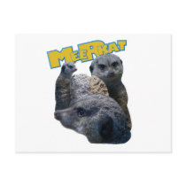 Meerkats postcards
