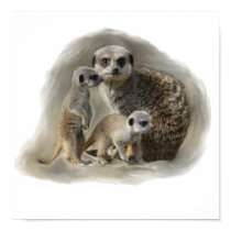 meerkats posters by clarelh meerkats posters
