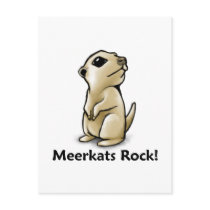 Meerkats Rock! Postcard