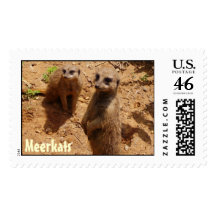 Meerkats Stamp
