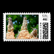 Meerkats....... stamps