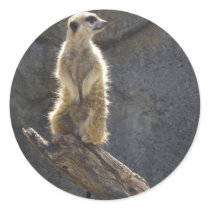 Meerkats Stickers