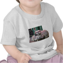Meerkats T-shirts