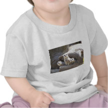 Meerkats Tshirts