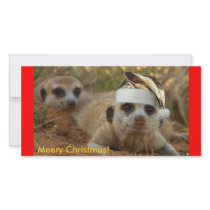 Meery Christmas Zaphod - Photo card photo cards