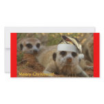Meery Christmas Zaphod - Photo card photo cards