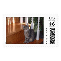 Meet Maxie postage by dwyndal Meet Maxie postage