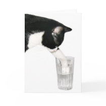 Meet me for drinks cards