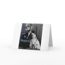 Meet me under the mistletoe cards