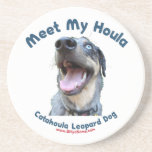 Meet My Catahoula Dog Drink Coaster