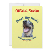 Meet My Catahoula Dog Personalized Invitations