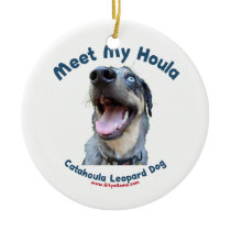 Meet My Catahoula Dog Ornament