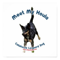 Meet My Houla Dog Poster