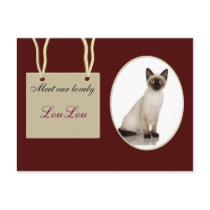 Meet new pets 1 postcards