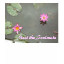Meet the Soulmate T-Shirt by SOFIYA Meet the Soulmate T-Shirt