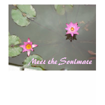 Meet the Soulmate T-Shirt