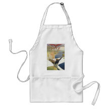 Meeting d'Aviation Nice Aprons