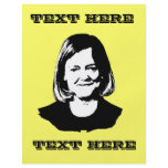 Meg Whitman for Governor Custom Flyer
