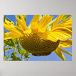 Mega Yellow Poster