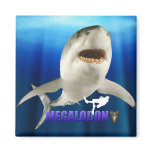 Megalodon Magnet
