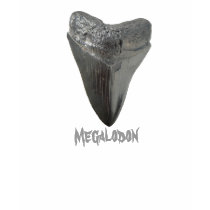 Megalodon Tooth t-shirts by Fairyscape Megalodon Tooth t-shirts
