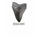 Megalodon Tooth Shirts