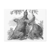 Megatherium Antique Print Postcards