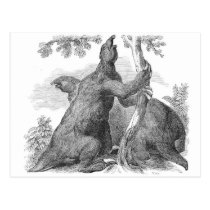 Megatherium Antique Print postcards