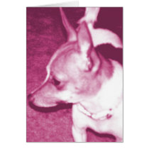 Megenta Chihuahua Pop Art Card by RLMdesignes Megenta Chihuahua Pop Art Card