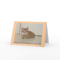 Meggie Notecards