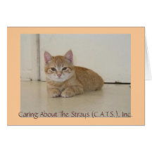 Meggie Notecards