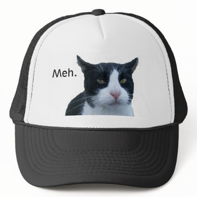 Cat Meh