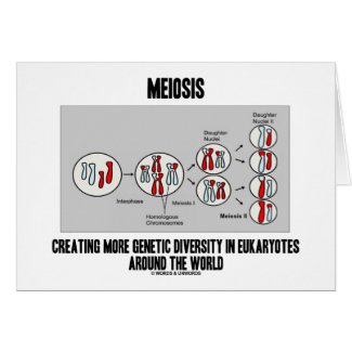 Meiosis Creating More Genetic Diversity Eukaryotes card