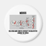 Meiosis Creating More Genetic Diversity Eukaryotes Refrigerator Magnets