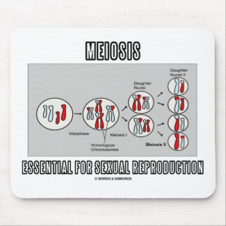 Meiosis Essential For Sexual Reproduction mousepad