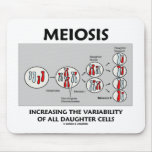 Meiosis Increasing Variability All Daughter Cells Mouse Pads