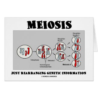 Meiosis Just Rearranging Genetic Information card