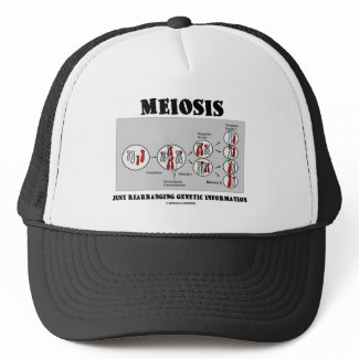 Meiosis Just Rearranging Genetic Information hat