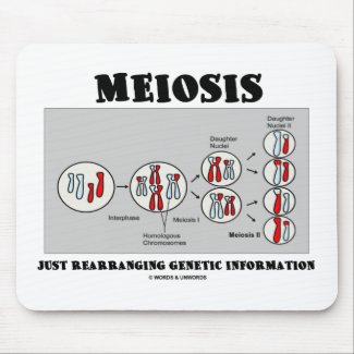Meiosis Just Rearranging Genetic Information mousepad