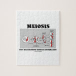Meiosis Just Rearranging Genetic Information Jigsaw Puzzle