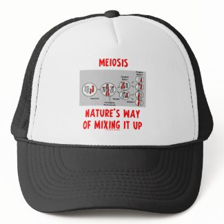 Meiosis Nature's Way Of Mixing It Up zazzle_hat