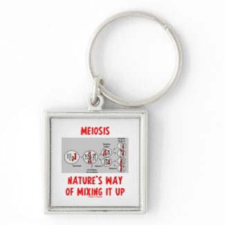 Meiosis Nature's Way Of Mixing It Up zazzle_keychain