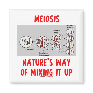 Meiosis Nature's Way Of Mixing It Up zazzle_magnet