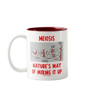 Meiosis Nature's Way Of Mixing It Up zazzle_mug