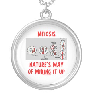 Meiosis Nature's Way Of Mixing It Up zazzle_necklace